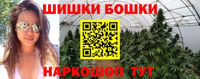 ECSTASY Новозыбков